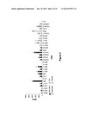 CYTOKINE RECEPTOR PEPTIDES, COMPOSITIONS THEREOF AND METHODS THEREOF diagram and image