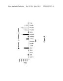 CYTOKINE RECEPTOR PEPTIDES, COMPOSITIONS THEREOF AND METHODS THEREOF diagram and image