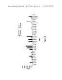 CYTOKINE RECEPTOR PEPTIDES, COMPOSITIONS THEREOF AND METHODS THEREOF diagram and image