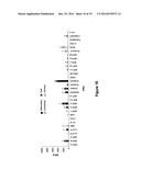 CYTOKINE RECEPTOR PEPTIDES, COMPOSITIONS THEREOF AND METHODS THEREOF diagram and image