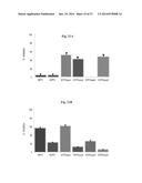 NUCLEOSIDE 5 -PHOSPHOROTHIOATE ANALOGUES AND USES THEREOF diagram and image