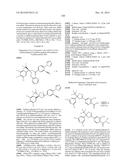 ISOTHIAZOLINE DERIVATIVES AS INSECTICIDAL COMPOUNDS diagram and image