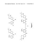 Novel Compositions and Methods of Treating HIV-1 Infections Using Same diagram and image