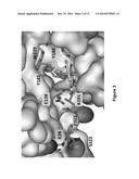 Novel Compositions and Methods of Treating HIV-1 Infections Using Same diagram and image