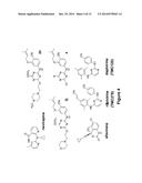 Novel Compositions and Methods of Treating HIV-1 Infections Using Same diagram and image