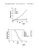 LKB1/STK11 DELETION IN MELANOMA AND RELATED METHODS diagram and image