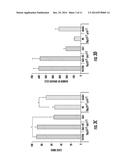 LKB1/STK11 DELETION IN MELANOMA AND RELATED METHODS diagram and image