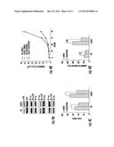 LKB1/STK11 DELETION IN MELANOMA AND RELATED METHODS diagram and image