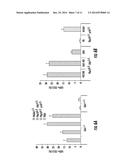 LKB1/STK11 DELETION IN MELANOMA AND RELATED METHODS diagram and image