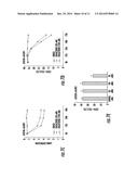 LKB1/STK11 DELETION IN MELANOMA AND RELATED METHODS diagram and image