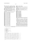 LKB1/STK11 DELETION IN MELANOMA AND RELATED METHODS diagram and image