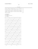 LKB1/STK11 DELETION IN MELANOMA AND RELATED METHODS diagram and image