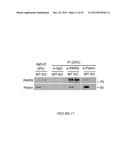 TRANSCRIPTIONAL REPRESSION LEADING TO PARKINSON S DISEASE diagram and image