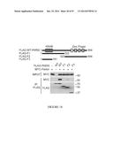 TRANSCRIPTIONAL REPRESSION LEADING TO PARKINSON S DISEASE diagram and image