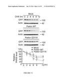 TRANSCRIPTIONAL REPRESSION LEADING TO PARKINSON S DISEASE diagram and image