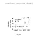 TRANSCRIPTIONAL REPRESSION LEADING TO PARKINSON S DISEASE diagram and image