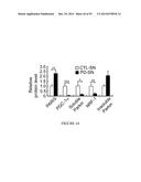 TRANSCRIPTIONAL REPRESSION LEADING TO PARKINSON S DISEASE diagram and image