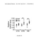 TRANSCRIPTIONAL REPRESSION LEADING TO PARKINSON S DISEASE diagram and image