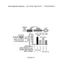 TRANSCRIPTIONAL REPRESSION LEADING TO PARKINSON S DISEASE diagram and image