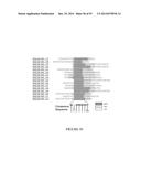 TRANSCRIPTIONAL REPRESSION LEADING TO PARKINSON S DISEASE diagram and image