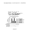 TRANSCRIPTIONAL REPRESSION LEADING TO PARKINSON S DISEASE diagram and image