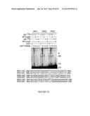 TRANSCRIPTIONAL REPRESSION LEADING TO PARKINSON S DISEASE diagram and image