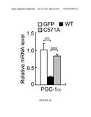 TRANSCRIPTIONAL REPRESSION LEADING TO PARKINSON S DISEASE diagram and image