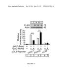 TRANSCRIPTIONAL REPRESSION LEADING TO PARKINSON S DISEASE diagram and image