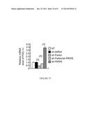 TRANSCRIPTIONAL REPRESSION LEADING TO PARKINSON S DISEASE diagram and image