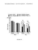 TRANSCRIPTIONAL REPRESSION LEADING TO PARKINSON S DISEASE diagram and image