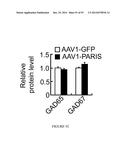 TRANSCRIPTIONAL REPRESSION LEADING TO PARKINSON S DISEASE diagram and image