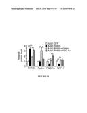 TRANSCRIPTIONAL REPRESSION LEADING TO PARKINSON S DISEASE diagram and image