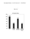 PROTEIN COMPLEX, BISPECIFIC ANTIBODY INCLUDING THE PROTEIN COMPLEX, AND     METHOD OF PREPARATION THEREOF diagram and image