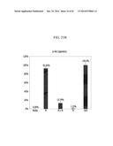 PROTEIN COMPLEX, BISPECIFIC ANTIBODY INCLUDING THE PROTEIN COMPLEX, AND     METHOD OF PREPARATION THEREOF diagram and image