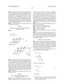 PRODRUG USING NITROIMIDAZOLE diagram and image