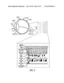 OPTIC FUNCTION MONITORING PROCESS AND APPARATUS diagram and image