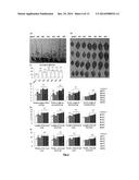 METHODS OF USING 3-HYDROXY-3-METHYLGLUTARYL-COA SYNTHASE TO ENHANCE GROWTH     AND/OR SEED YIELD OF GENETICALLY MODIFIED PLANTS diagram and image