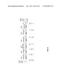 STABILIZING APPARATUS FOR TREMOLO SYSTEM FOR STRING INSTRUMEN diagram and image