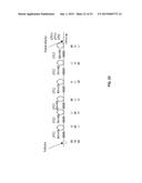 STABILIZING APPARATUS FOR TREMOLO SYSTEM FOR STRING INSTRUMEN diagram and image