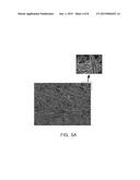 NANO FIBER COMPOSITE SHEET AND METHOD OF MANUFACTURING THE SAME diagram and image