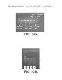 REUSABLE PCR AMPLIFICATION SYSTEM AND METHOD diagram and image