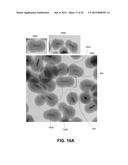 NETWORK OF SEMICONDUCTOR STRUCTURES WITH FUSED INSULATOR COATING diagram and image