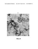 NETWORK OF SEMICONDUCTOR STRUCTURES WITH FUSED INSULATOR COATING diagram and image