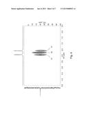 NUCLEAR MAGNETIC RESONANCE (NMR) SPECTROSCOPY DEVICE diagram and image