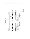 DISPLAY PANEL, DISPLAY DEVICE, AND ELECTRONIC APPARATUS diagram and image