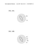 MICROSCOPE APPARATUS diagram and image