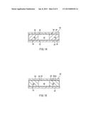 STEREOSCOPIC DISPLAY DEVICE diagram and image