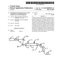 Method of Generating Raman Laser for Inducing Fluorescence of Pyrene and A     System Thereof diagram and image