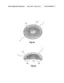 Lens Plate For Illumination Lamp, and Illumination Lamp diagram and image