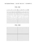 DISPLAY DEVICE HAVING IMPROVED ILLUMINATION CHARACTERISTICS diagram and image